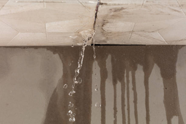 Professional Sewage Cleanup technician working in Hildale, UT